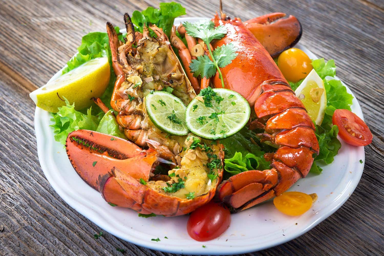 Binh Ba Lobster in Khanh Hoa Province